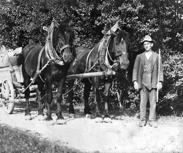 Mitarbeiter mit Pferdefuhrwerk